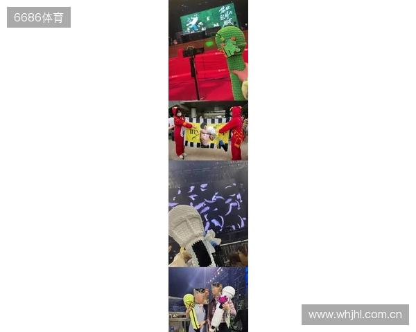 图片报：拜仁和1860球迷互相涂鸦标记地盘，已有两人被捕